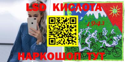 гашик Кандалакша