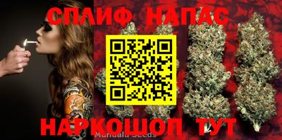 гашик Кандалакша