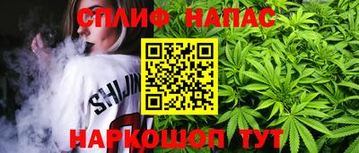 гашик Кандалакша